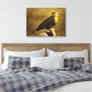 Yellow-headed Blackbird Stretched Canvas Print