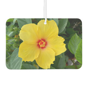 Yellow Hibiscus Air Freshener