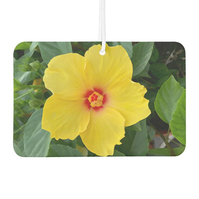 Yellow Hibiscus Air Freshener (Front)