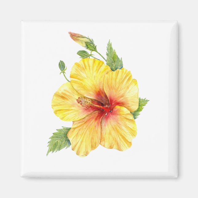 Yellow Hibiscus Botanical Art Magnet (Front)