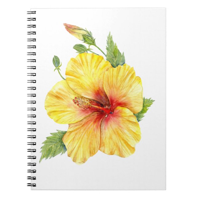 Yellow Hibiscus Botanical Art Notebook (Front)