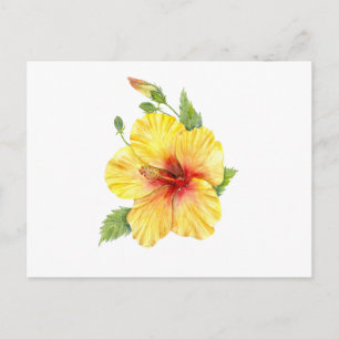 Yellow Hibiscus Botanical Art Postcard