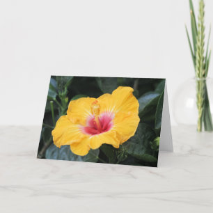 Yellow hibiscus card