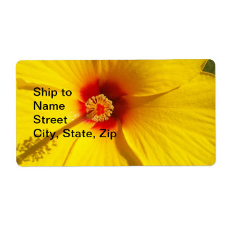 Yellow Hibiscus Flower