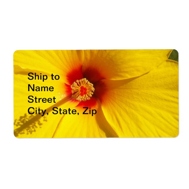 Yellow Hibiscus Flower (Front)