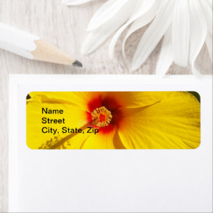 Yellow Hibiscus Flower