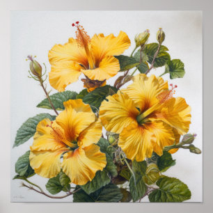 Yellow Hibiscus Flower Art Print Poster