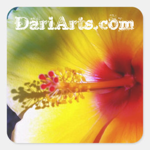 Yellow Hibiscus Flower custom name stickers