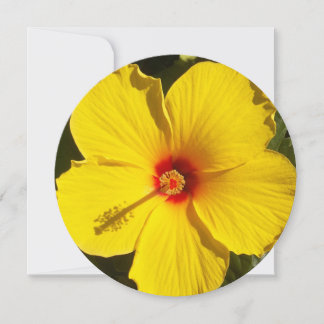 Yellow Hibiscus Flower Invitation