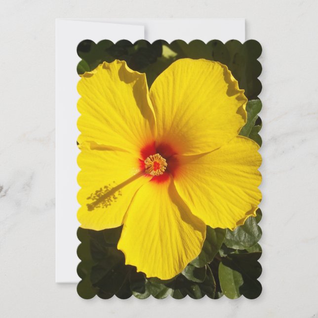 Yellow Hibiscus Flower Invitation (Front)