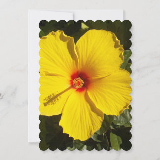 Yellow Hibiscus Flower Invitation