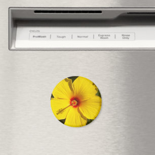 Yellow Hibiscus Flower Magnet