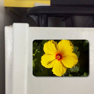 Yellow Hibiscus Flower Magnet