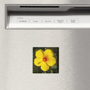 Yellow Hibiscus Flower Magnet