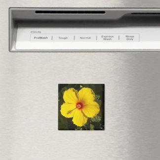 Yellow Hibiscus Flower Magnet