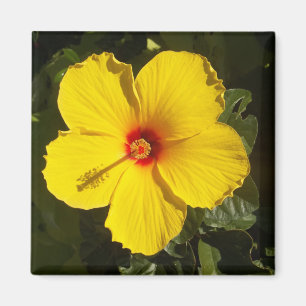 Yellow Hibiscus Flower Magnet