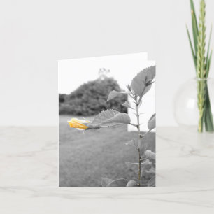 Yellow Hibiscus flower Note Cards
