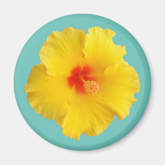 Yellow Hibiscus Flower Photo Magnet