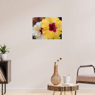 Yellow Hibiscus Flower  Poster