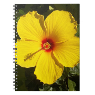 Yellow Hibiscus Flower Spiral Notebook