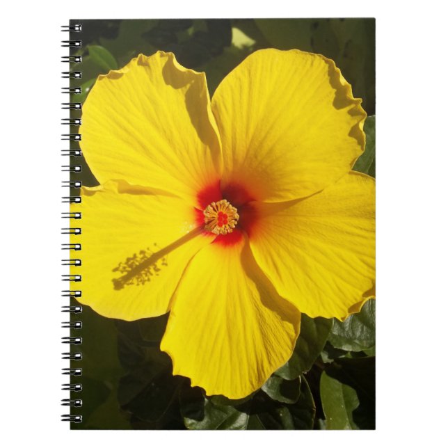 Yellow Hibiscus Flower Spiral Notebook (Front)