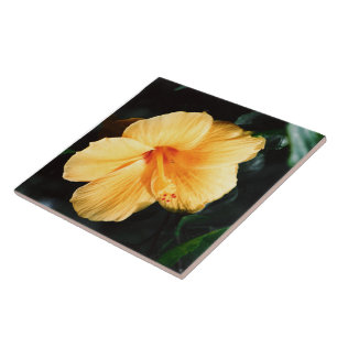 Yellow Hibiscus Flower Tile