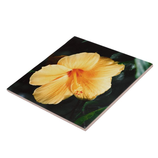 Yellow Hibiscus Flower Tile (Side)