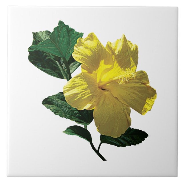 Yellow Hibiscus in Sunshine Tile (Front)