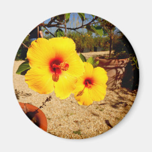 Yellow Hibiscus Magnet