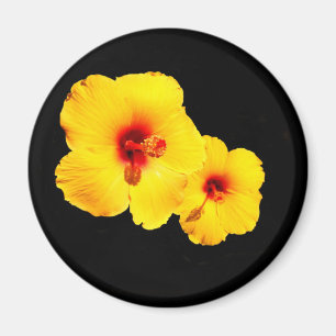Yellow Hibiscus Magnet