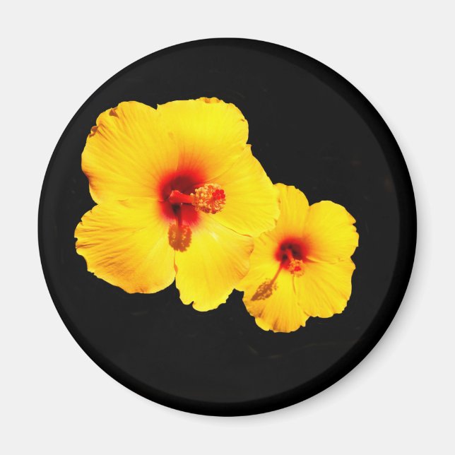 Yellow Hibiscus Magnet (Front)