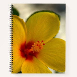 Yellow Hibiscus Notebook