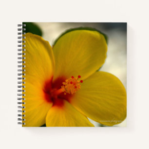 Yellow Hibiscus Notebook