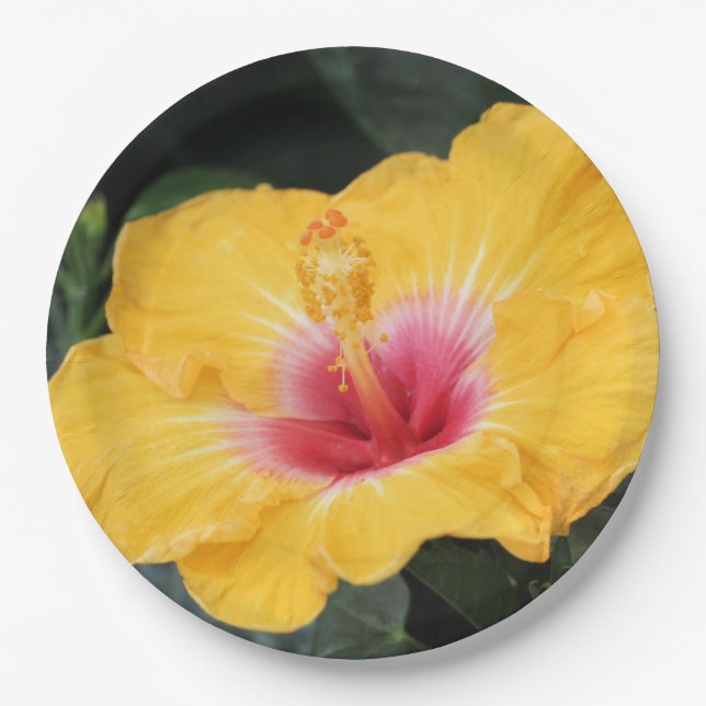 Yellow hibiscus paper plate (Front)