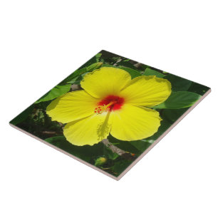 Yellow Hibiscus tile