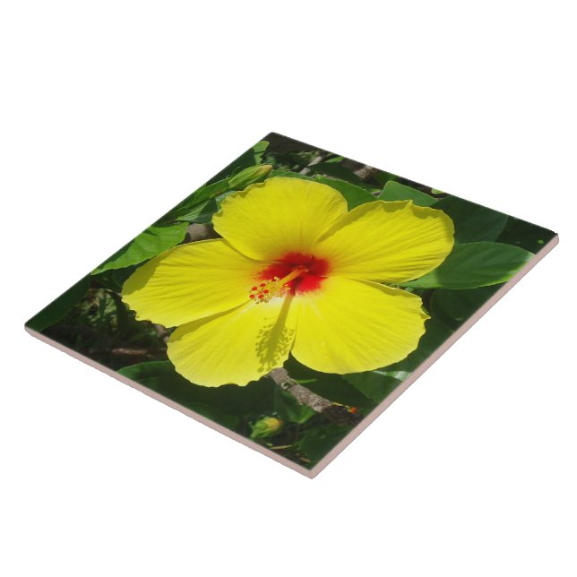 Yellow Hibiscus tile (Side)