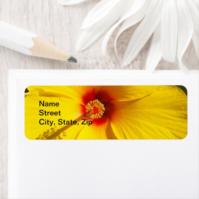 Yellow Hibiscus Tropical Flower Return Address (Insitu)