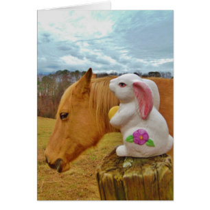 Yellow Horse, Spring Rabbit