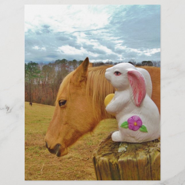 Yellow Horse, Spring Rabbit (Front)