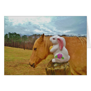 Yellow Horse, Spring Rabbit