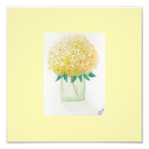 Yellow Hydrangea Photo Print