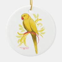 Yellow Indian Ringneck Parrot