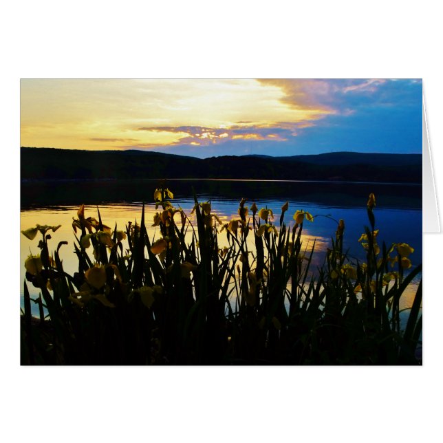 Yellow Iris at Lake Arrowhead shore (Front Horizontal)