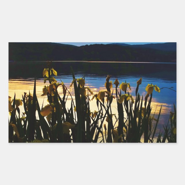 Yellow Iris at Lake Arrowhead shore Rectangular Sticker (Front)