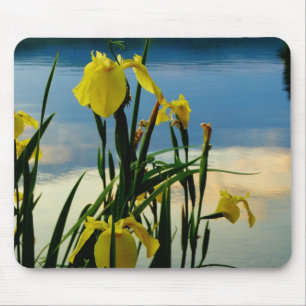 Yellow Iris at Lake Shore Mouse Pad