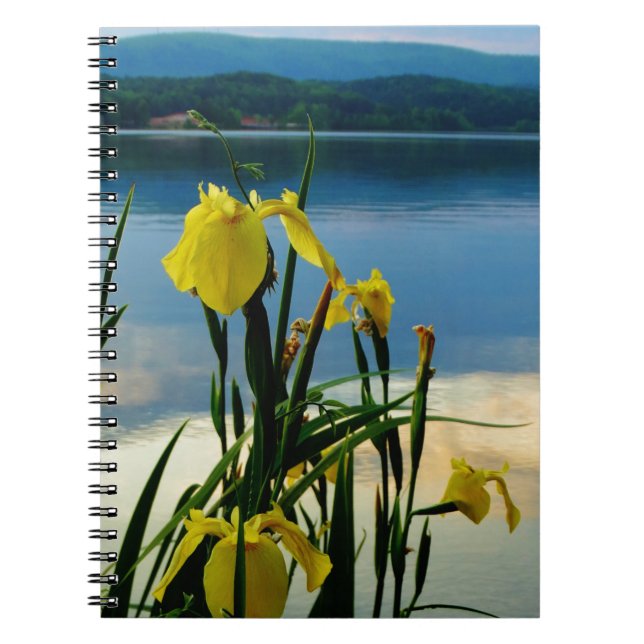 Yellow Iris at Lake Shore Spiral Notebook (Front)