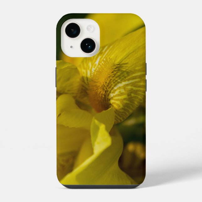 Yellow Iris Beard iPhone Case (Back)