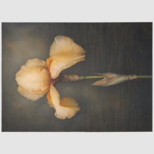 Yellow Iris Botanical Painting Decoupage Tissue Paper