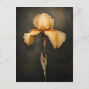 Yellow Iris Botanical Painting Postcard