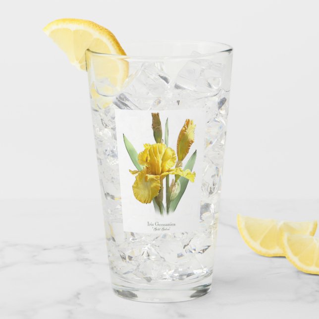 Yellow Iris Flower Botanical Art Glass (Front Ice)